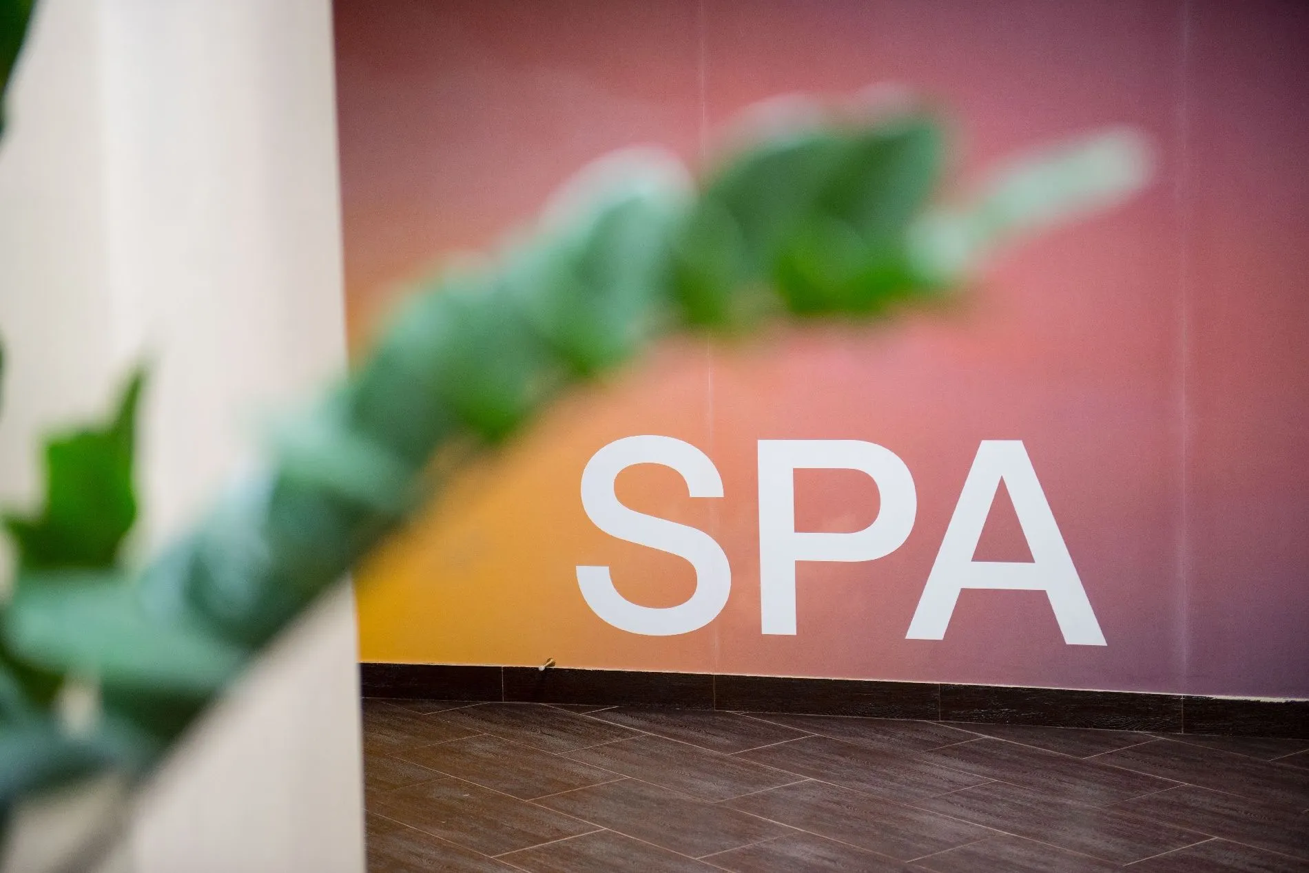 Кабинет массажа и SPA